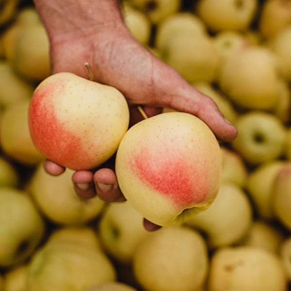 Jennewein Samuel Franz