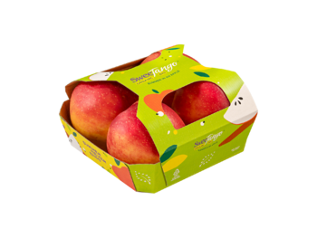 Cardboard fruittainer with top