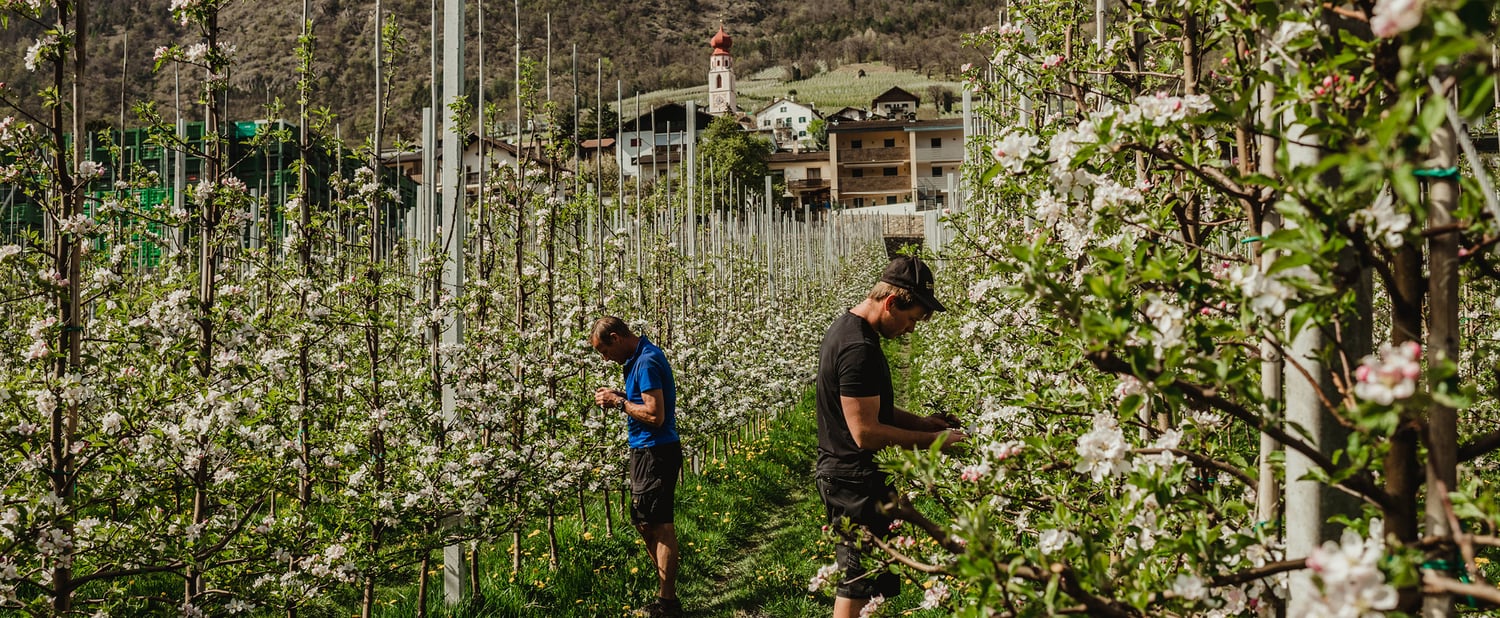 Landwirtschaftliche Gesellschaft Schönegg GmbH