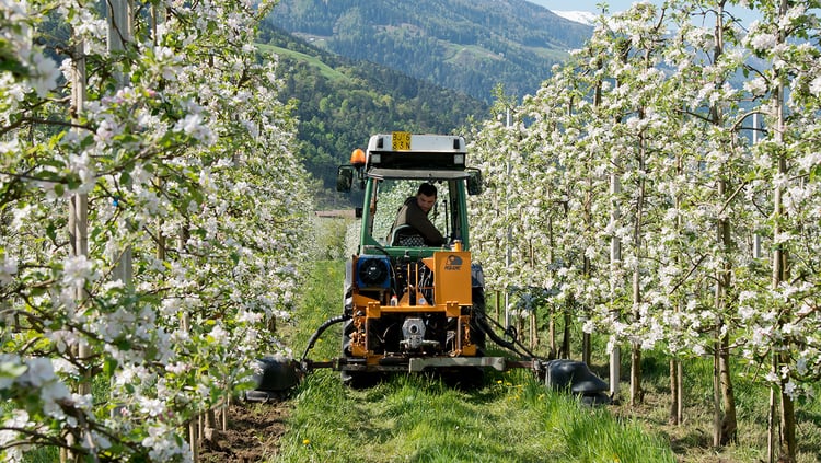 Naturland: Verband für ökologischen Landbau