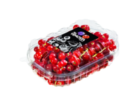 Rote Johannisbeeren