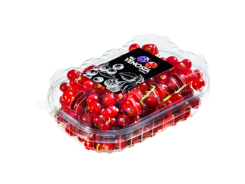 Rote Johannisbeeren