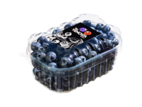 Blueberries