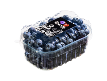 Blueberries