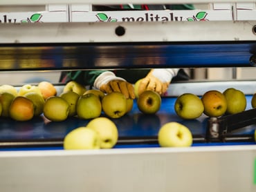 Reinigungskräfte für die Verpackungsanlagen in Teilzeit