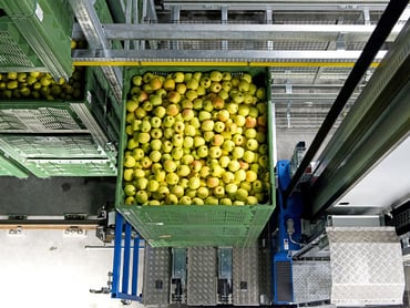 Reinigungskräfte für die Verpackungsanlagen in Teilzeit