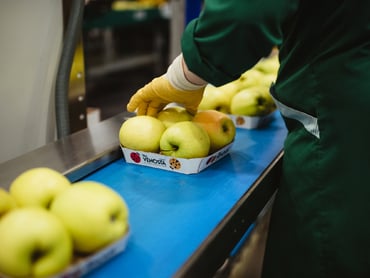 Reinigungskräfte für die Verpackungsanlagen in Teilzeit