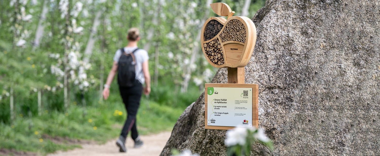 „The Apple Walk“ in Parcines