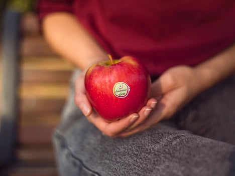 El gran crecimiento de las manzanas Club las convierte en estratégicas para VIP