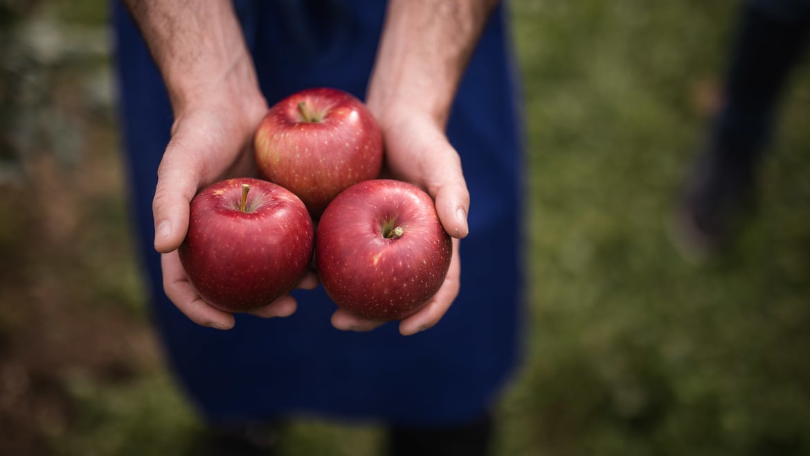 El gran crecimiento de las manzanas Club las convierte en estratégicas para VIP