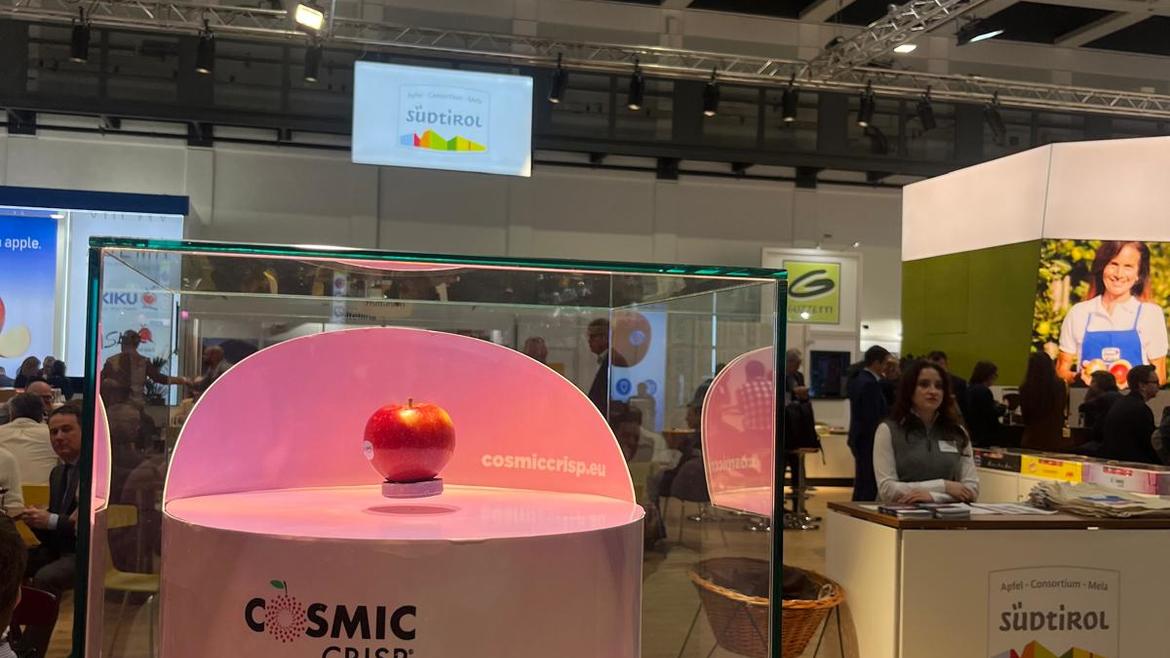 VIP’s Strengths and the Quality of Its Apples in the Spotlight at Fruit Logistica 2025