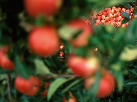 Organic with impact: VIP closes the season on a high and looks to the future